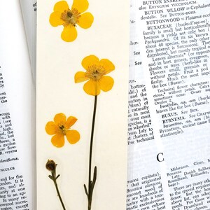 BUTTERCUP FLOWERS BOOKMARK Bright Sunshine Yellow Wild Flowers, Real Flowers, Fun Gift for Friend, Mom, Bookworm, Flower Lover, Wildflowers image 8