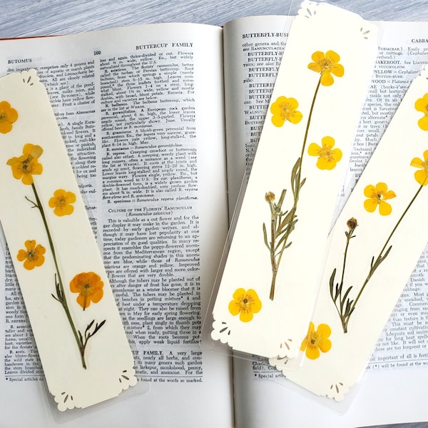 BUTTERCUP FLOWERS BOOKMARK Bright Sunshine Yellow Wild Flowers, Real Flowers, Fun Gift for Friend, Mom, Bookworm, Flower Lover, Wildflowers