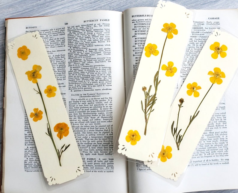 BUTTERCUP FLOWERS BOOKMARK Bright Sunshine Yellow Wild Flowers, Real Flowers, Fun Gift for Friend, Mom, Bookworm, Flower Lover, Wildflowers image 1