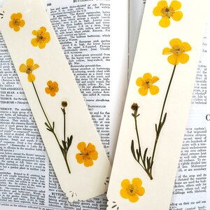 BUTTERCUP FLOWERS BOOKMARK Bright Sunshine Yellow Wild Flowers, Real Flowers, Fun Gift for Friend, Mom, Bookworm, Flower Lover, Wildflowers image 5