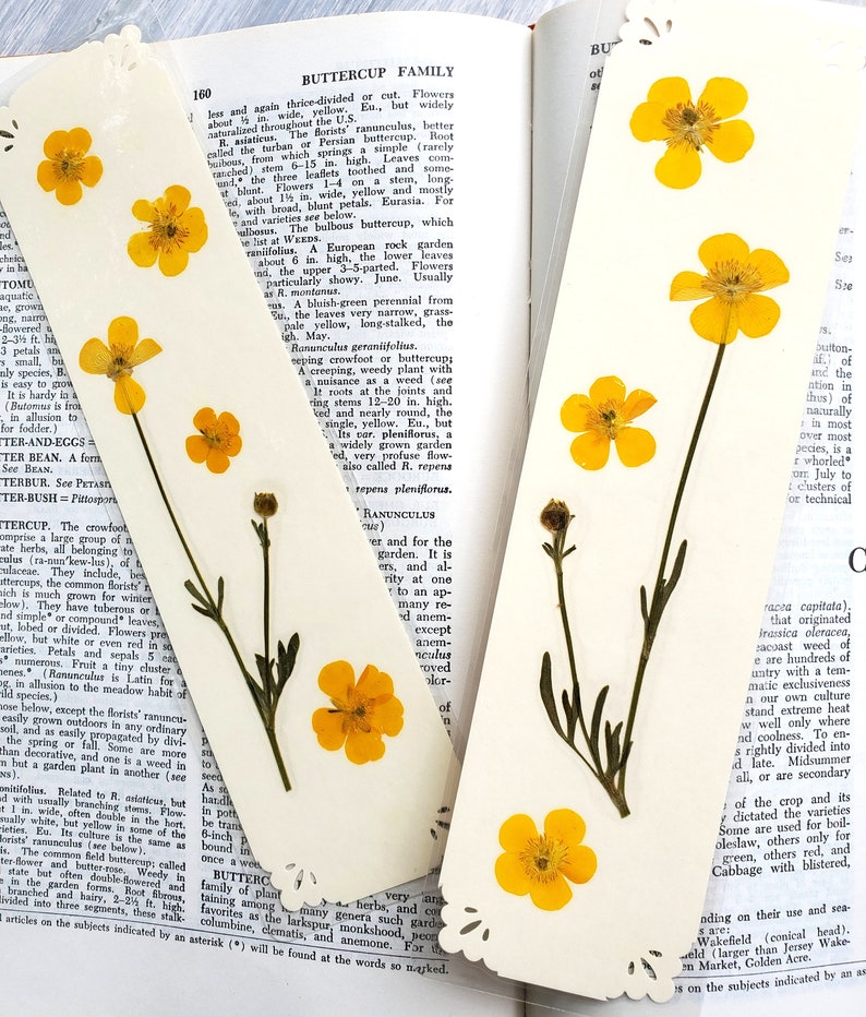 BUTTERCUP FLOWERS BOOKMARK Bright Sunshine Yellow Wild Flowers, Real Flowers, Fun Gift for Friend, Mom, Bookworm, Flower Lover, Wildflowers image 5