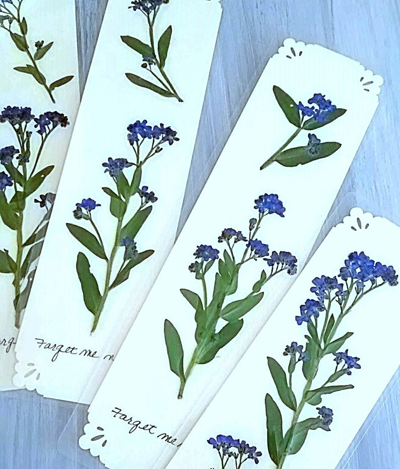 Marque-pages fleurs pressées FORGET ME NOT, fleurs de jardin bleues, adieu, Saint-Valentin romantique, amitié, cadeau de lecture image 2