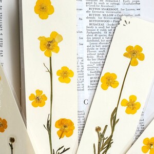 BUTTERCUP FLOWERS BOOKMARK Bright Sunshine Yellow Wild Flowers, Real Flowers, Fun Gift for Friend, Mom, Bookworm, Flower Lover, Wildflowers image 4