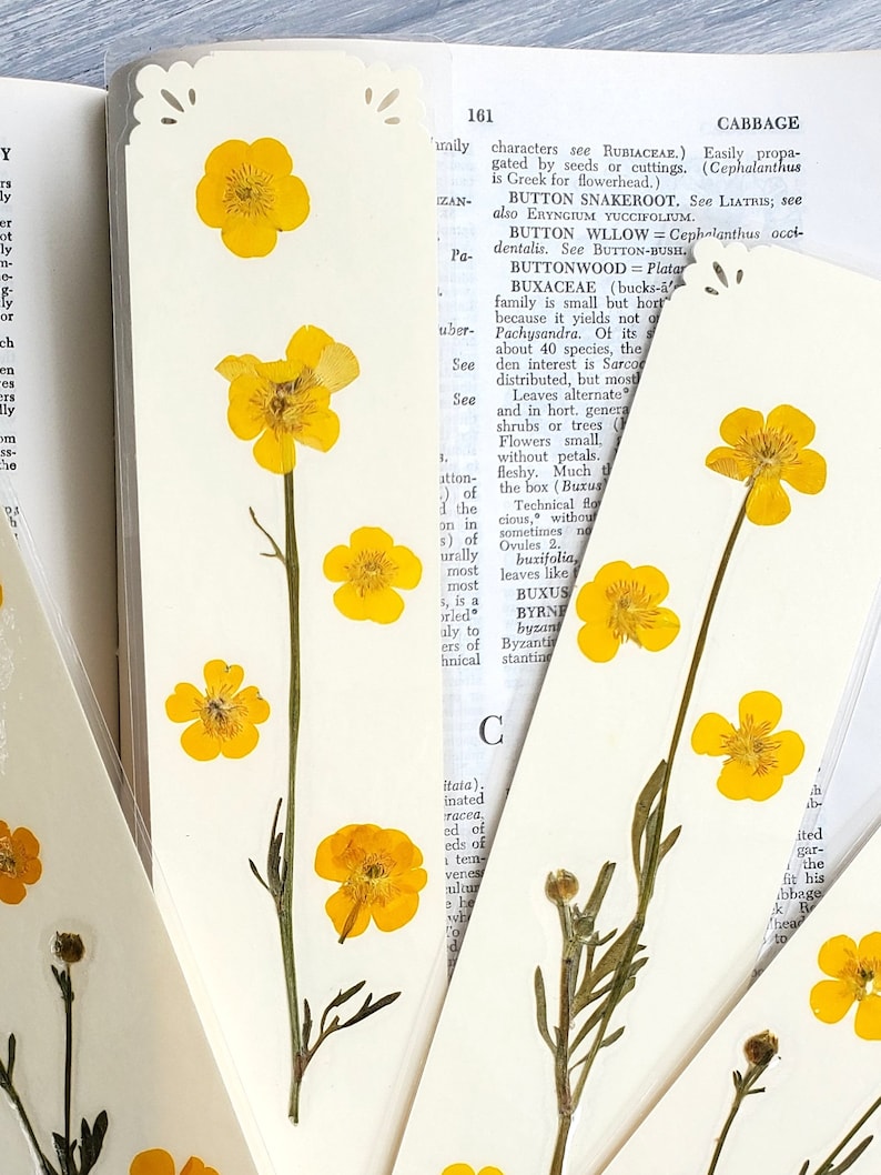 BUTTERCUP FLOWERS BOOKMARK Bright Sunshine Yellow Wild Flowers, Real Flowers, Fun Gift for Friend, Mom, Bookworm, Flower Lover, Wildflowers image 4