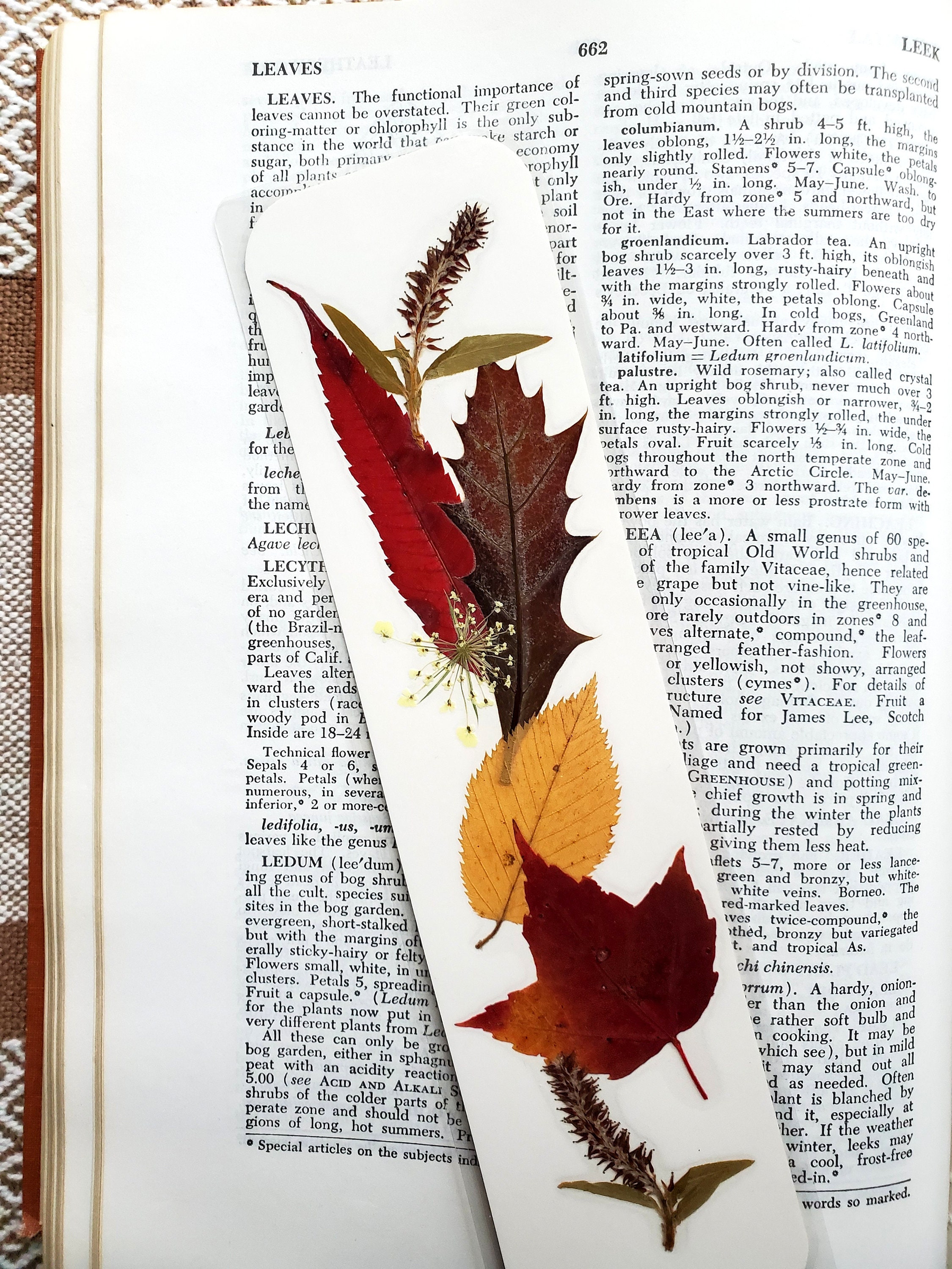 AUTUMN LEAVES BOOKMARK Pressed Fall Foliage Grasses Ferns | Etsy