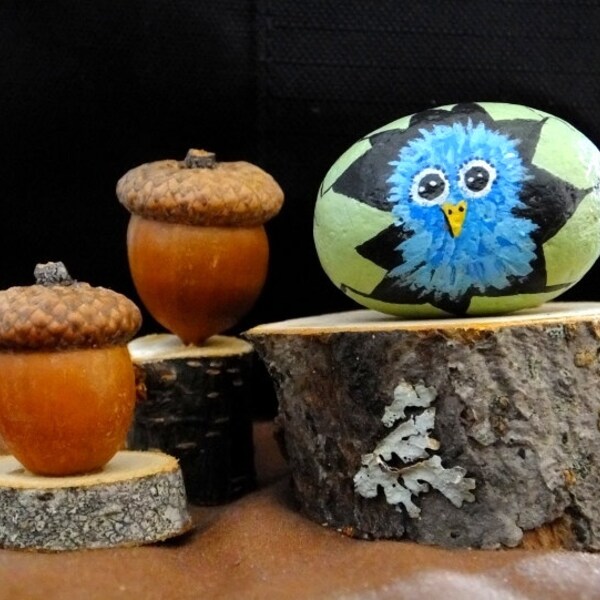 BABY BLUE BIRD Painted Rock Art - Hatching Bird Chick Egg, Baby Bird Cracked Egg Hand Painted Stone Art, Desk Art, Shelf Accent, Small Gift