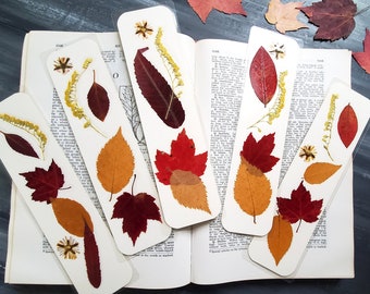 SIGNETS FEUILLES D'AUTOMNE Véritables feuilles d'automne pressées et fleurs sauvages de verge d'or, art de la feuille, signets nature boisée, cadeau lecteur