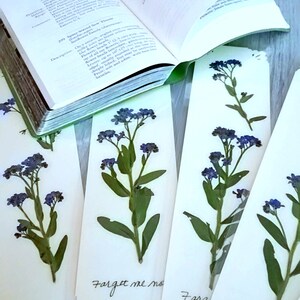 Marque-pages fleurs pressées FORGET ME NOT, fleurs de jardin bleues, adieu, Saint-Valentin romantique, amitié, cadeau de lecture image 6