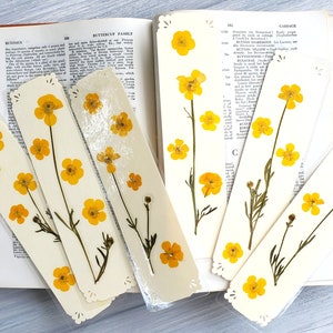 BUTTERCUP FLOWERS BOOKMARK Bright Sunshine Yellow Wild Flowers, Real Flowers, Fun Gift for Friend, Mom, Bookworm, Flower Lover, Wildflowers image 2