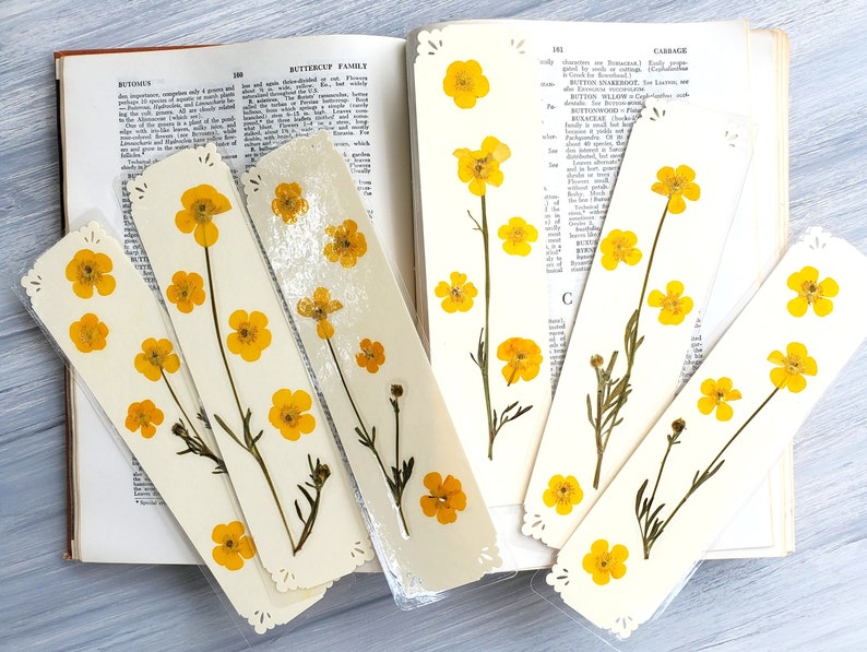 BUTTERCUP FLOWERS BOOKMARK Bright Sunshine Yellow Wild Flowers, Real Flowers, Fun Gift for Friend, Mom, Bookworm, Flower Lover, Wildflowers image 2