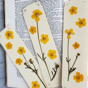BUTTERCUP FLOWERS BOOKMARK Bright Sunshine Yellow Wild Flowers, Real Flowers, Fun Gift for Friend, Mom, Bookworm, Flower Lover, Wildflowers image 7