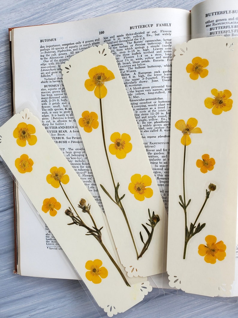 BUTTERCUP FLOWERS BOOKMARK Bright Sunshine Yellow Wild Flowers, Real Flowers, Fun Gift for Friend, Mom, Bookworm, Flower Lover, Wildflowers image 7