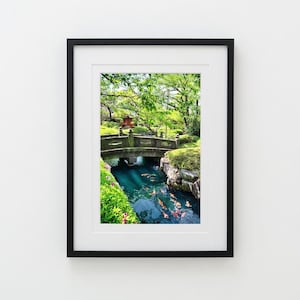 Può includere: Stampa incorniciata di una scena di giardino giapponese. Un ponte di pietra si inarca su uno stagno pieno di pesci koi. La vegetazione lussureggiante e gli alberi circondano l'acqua, con una struttura rossa tradizionale sullo sfondo.