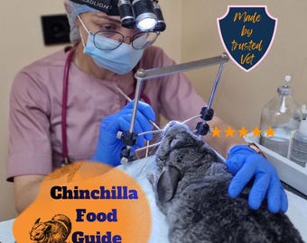Guía de nutrición para chinchillas elaborada por un médico veterinario con 11 años de experiencia - Guía de alimentación para chinchillas - Cuidado de mascotas para chinchillas