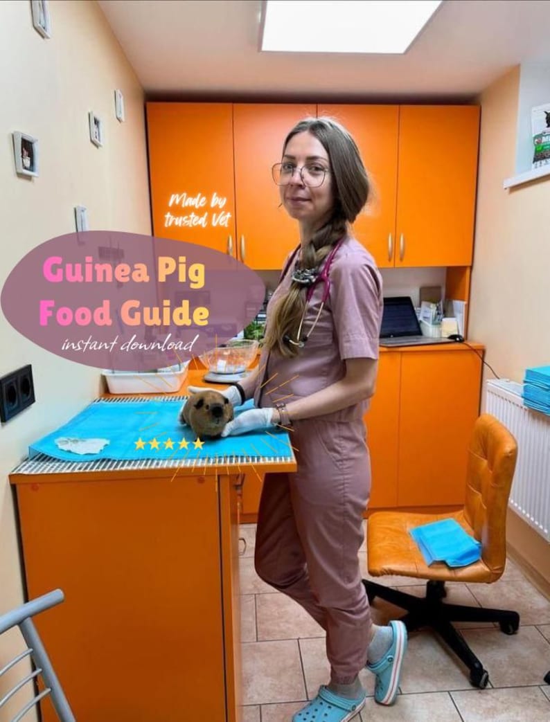 Puede incluir: Una veterinaria con un mono rosa examina un conejillo de indias en una mesa de examen azul. El texto "Guinea Pig Food Guide instant download" est&aacute; superpuesto en la imagen. Tambi&eacute;n se ven las palabras "Made by trusted Vet".