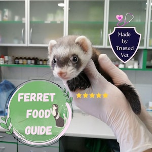 May include: A ferret held in gloved hands, with a green and white circular graphic that reads "Ferret Food Guide". The image also includes a shield-shaped graphic that says "Made by Trusted Vet".
