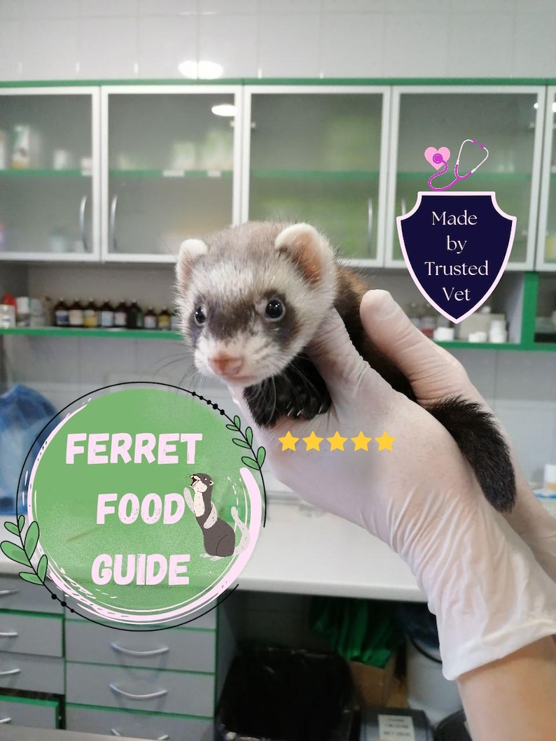 May include: A ferret held in gloved hands, with a green and white circular graphic that reads "Ferret Food Guide". The image also includes a shield-shaped graphic that says "Made by Trusted Vet".