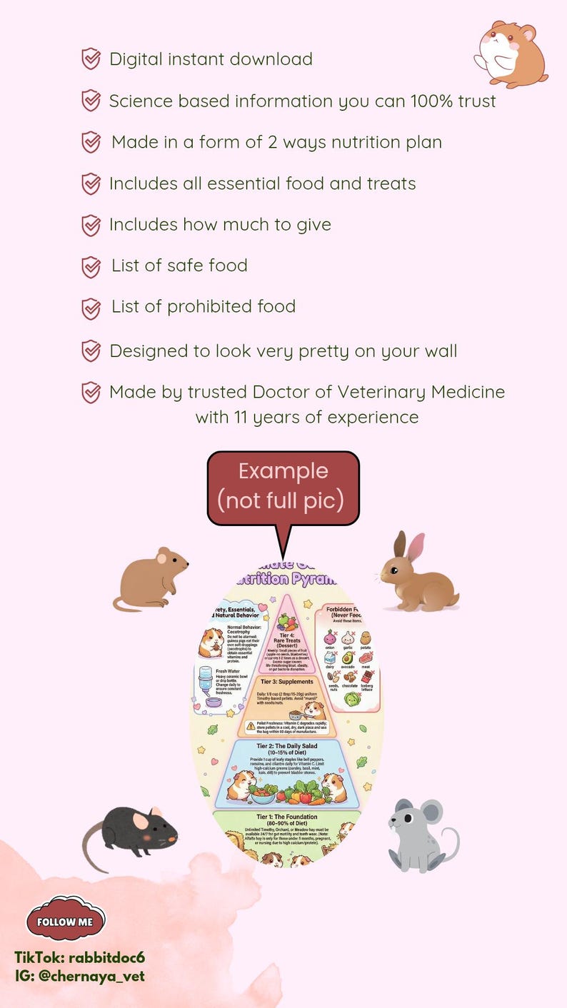 May include: A pink graphic with a nutrition pyramid for small pets, featuring illustrations of a hamster, rabbit, and mouse. The image includes text about safe and prohibited foods, and a digital download.