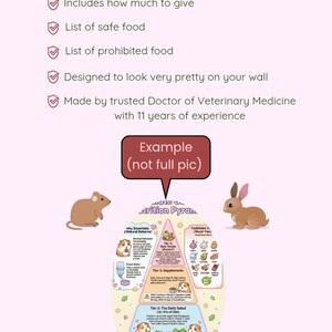 Puede incluir: Una descarga digital con una pir&aacute;mide nutricional para mascotas peque&ntilde;as, con ilustraciones de un h&aacute;mster, un rat&oacute;n y un conejo. La infograf&iacute;a incluye informaci&oacute;n sobre alimentos, golosinas y alimentos seguros y prohibidos. Texto: "Example (not full pic)".