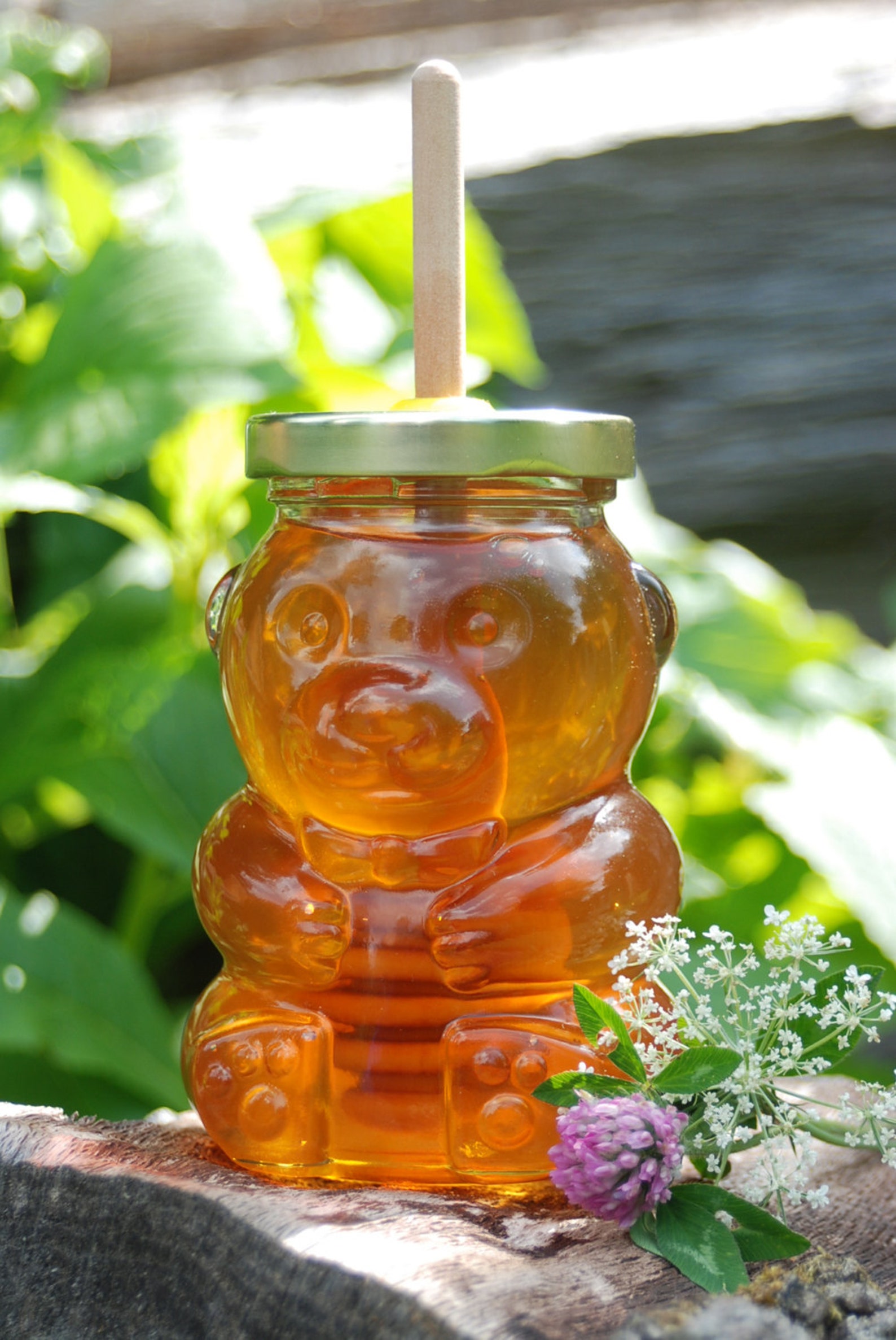 Honey Bear Honey Jar With Birch Dipper Wedding Gift Party Etsy