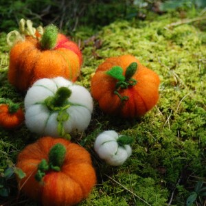 Needle Felted Pumpkins of Orange & White Set of 6 Halloween Thanksgiving Fall Decor Handmade