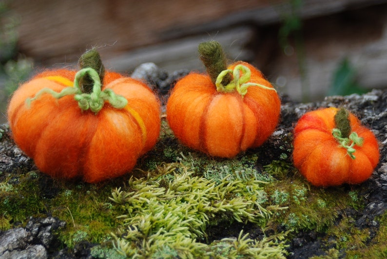 How to Needle Felt A Pumpkin PDF Instant Down Load Fall Etsy