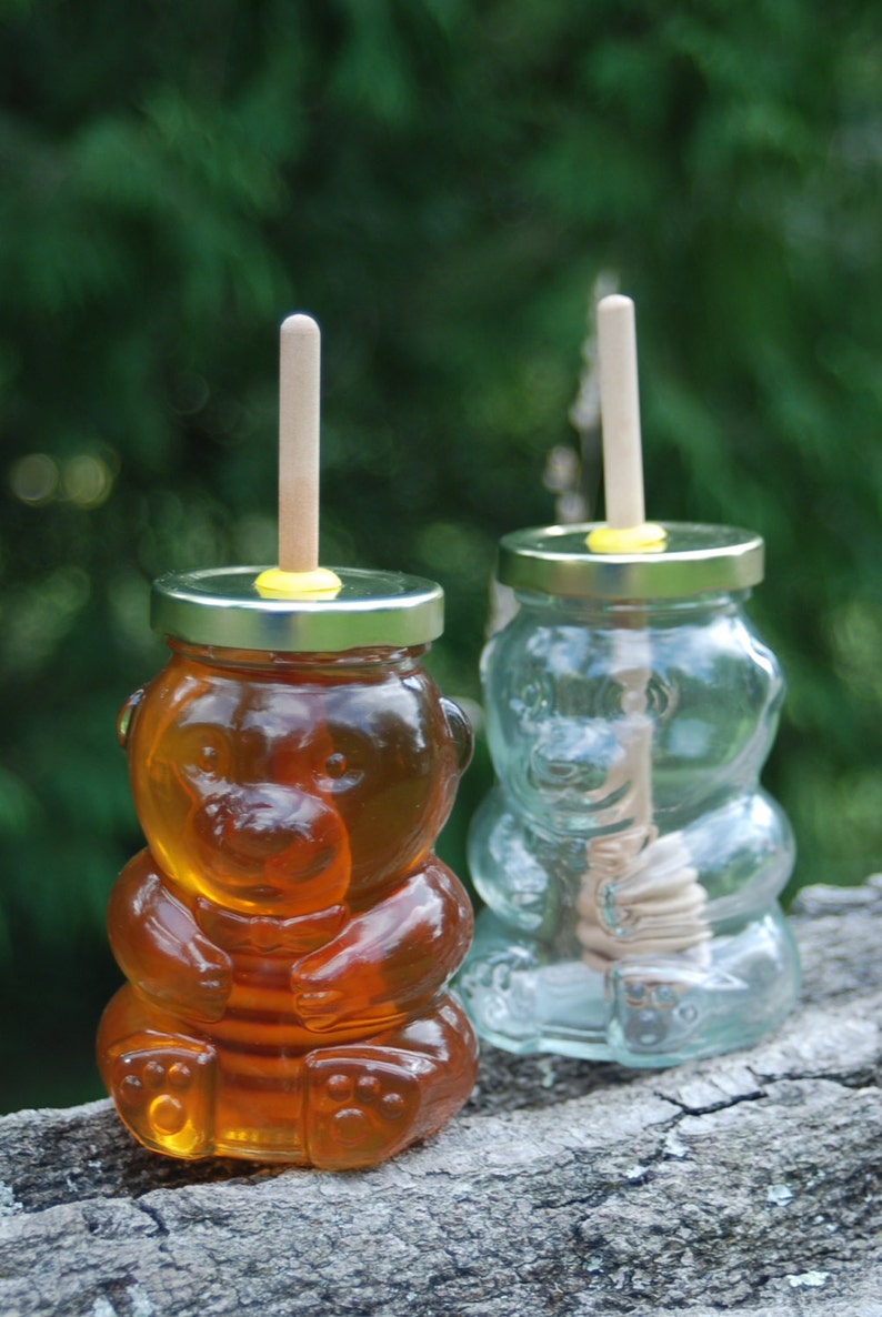 Honey Bear Honey Jar With Birch Dipper Wedding Gift Party Etsy