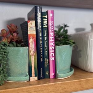 May include: A shelf arrangement featuring books and decorative elements. The books include titles like "The Lightning Thief" and "Super Simple Physics." Two teal ceramic bookends hold the books. A trailing green plant and a small red plant add color. A white vase is in the background.