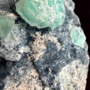 May include: Close-up of a mineral specimen featuring several translucent, teal-colored fluorite crystals. The crystals are embedded in a matrix of dark gray and beige rock, with small, needle-like inclusions.