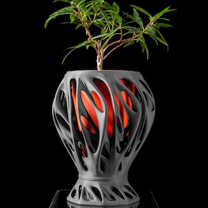 May include: A gray, open-design vase with an orange interior, holding a small green plant. The vase has a unique, organic pattern. The plant has green leaves and brown stems. The background is solid black, highlighting the vase and plant.