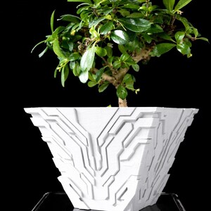 Modern Geometric Bonsai Planter 3D Printed Minimalist Indoor Plant Pot  Contemporary Desk & Home Decor Unique Succulent Pot