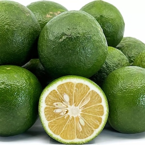 Semillas de cítricos verdes frescas para cultivar en casa