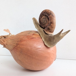 May include: A brown snail figurine atop a large, reddish-brown shallot. The snail has a detailed shell and a light brown body. The shallot has a textured surface and a small, dried stem.