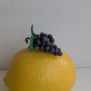 May include: A bright yellow lemon with a cluster of dark purple grapes and green leaves. The fruit is set against a plain white background, highlighting the natural colors and textures of the produce.