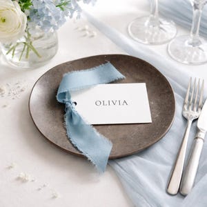 May include: A table setting featuring a dark brown plate, a white card with the name "OLIVIA", and a light blue ribbon. Silverware and a vase of flowers are also visible. The scene is set on a white surface.