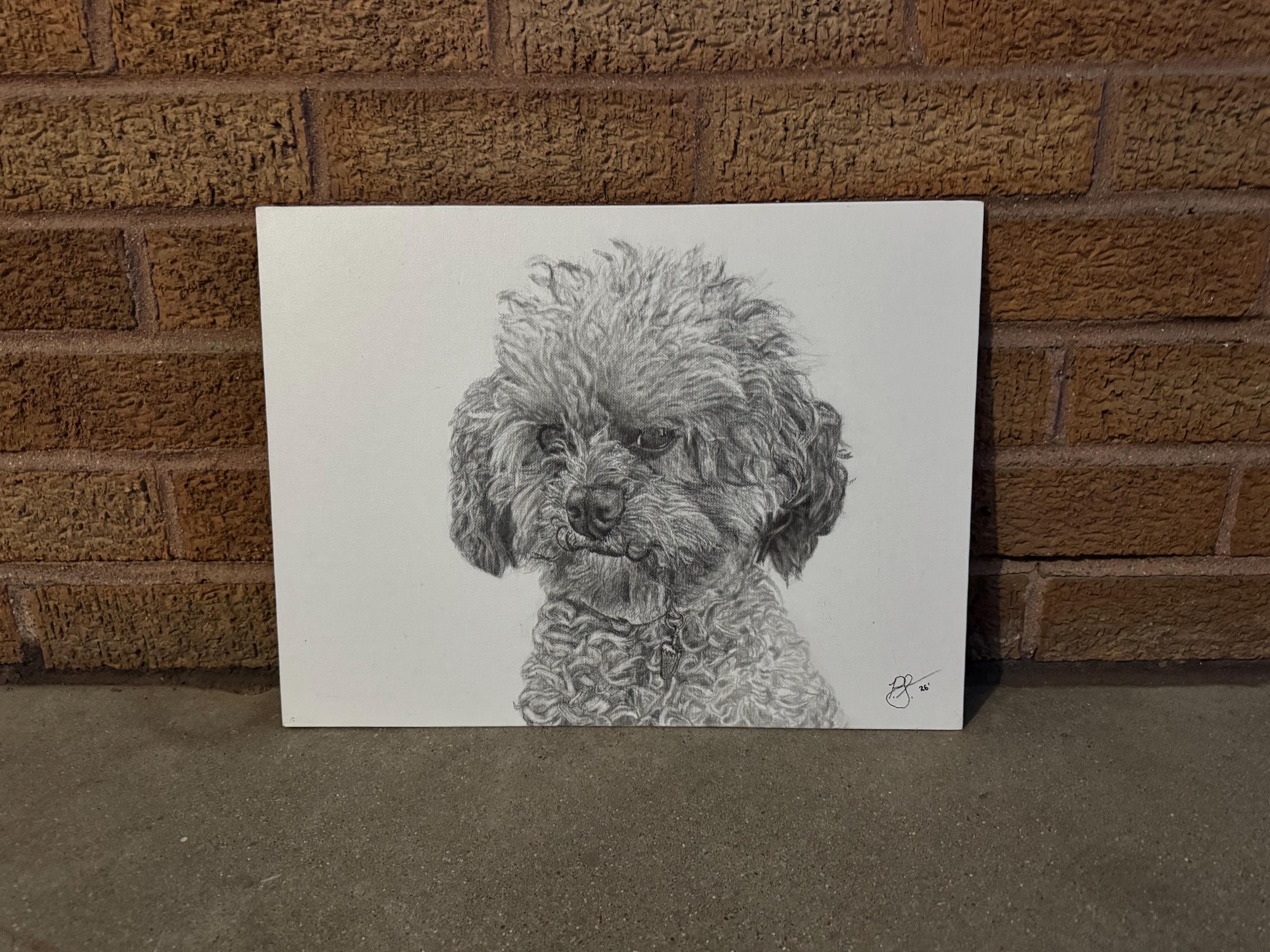 Custom Hand-drawn Pet Portrait | Pencil Sketch From Photo | Pet Lover ...