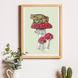 Toadstool Frosch und Pilz Fine Art Illustration Print A4