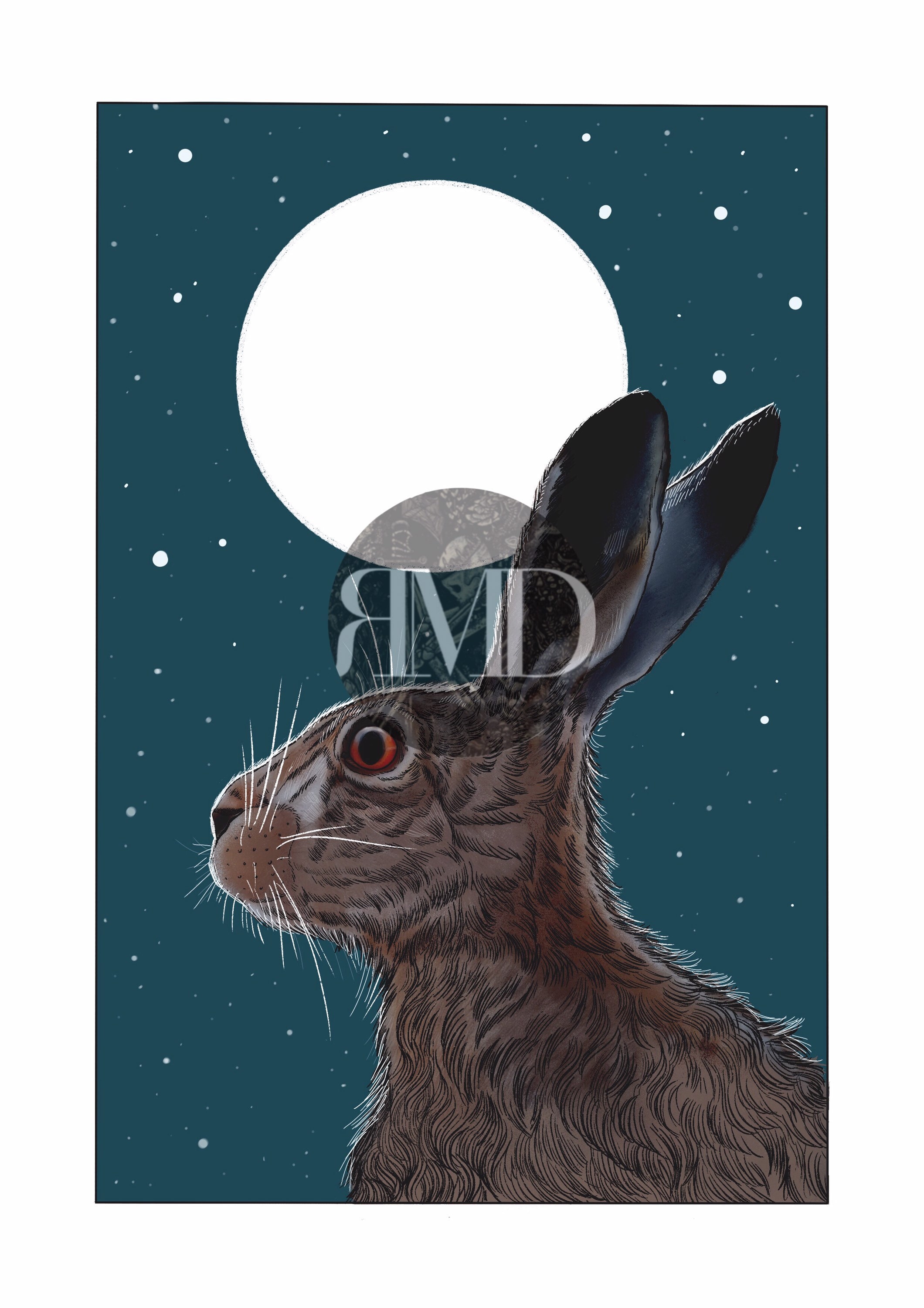 Moon Gazing Hare Illustration Art Print A4 | Etsy