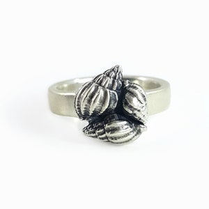 Peut inclure: Une bague en argent avec un groupe de trois coquillages comme pièce maîtresse.