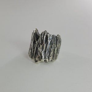 May include: A silver ring with a textured, organic design resembling a mountain range.
