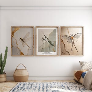 Puede incluir: Un conjunto de tres cuadros de pared con ilustraciones de insectos. El cuadro izquierdo muestra una libélula, el central una mantis religiosa con texto y el derecho una polilla, todos acentuados con texturas de color dorado.
