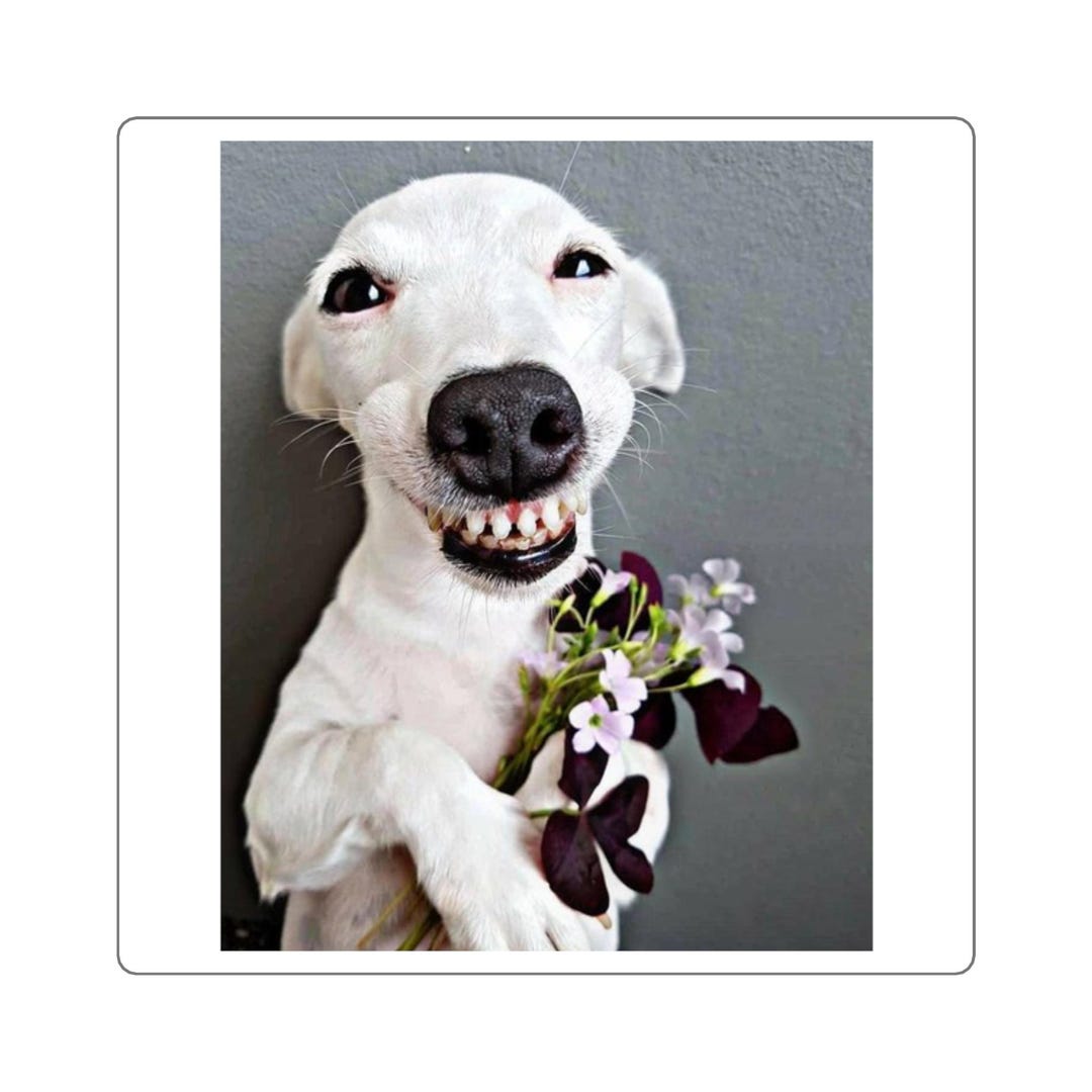 Smiling Dog With Flowers Sticker | Square Sticker - Etsy