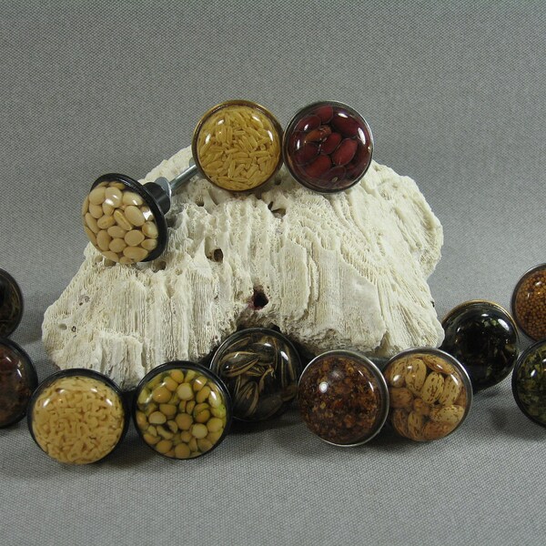 Vintage COUNTRY Drawer Pulls / Handles with Beans Seeds Rice / Brushed Metal