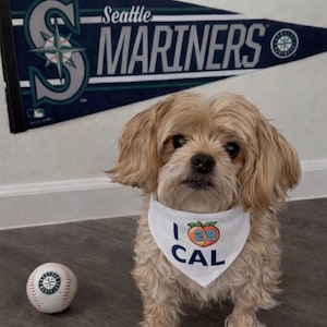 The Big Dumper Cal Raleigh 29, Bandana per cani "I Heart Cal", Appassionato di baseball dei Seattle Mariners, Sciarpa/accessorio per cuccioli, Regalo per tifosi, Ispirato alla MLB