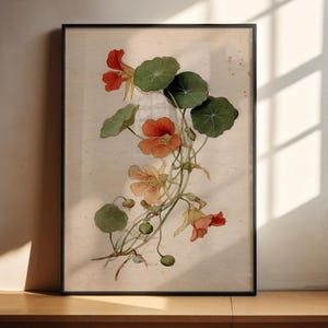 Botanischer Kapuzinerkresse-Druck | Vintage-Blumenkunst für die Wand | Antikes Blumenposter