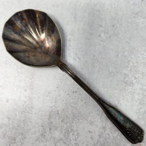 Replacement Vintage Coventry Shell Silverplate Retroneu Casserole Spoon, Serving Spoon, vintage flatware, Serving Pieces