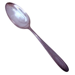 May include: A silver spoon with an oval bowl and a long, decorated handle. The handle features an engraved design with a rectangular panel near the end. The spoon is likely made of stainless steel or a similar metal.
