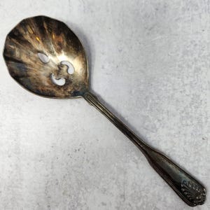Replacement Vintage Coventry Shell Silverplate Retroneu Pierced Casserole Spoon, Serving Spoon, vintage flatware, Serving Pieces