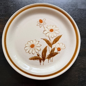 May include: A round ceramic dinner plate with a speckled off-white base and a wide brown band along the rim. The center features a floral illustration of three white daisies with orange centers and brown stems and leaves painted on the surface.