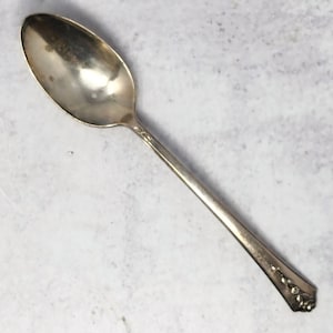 Vintage Spring Garden Silverplate Serving Spoon (1949), International Silver, Collectible Flatware, Utensils, Table Spoon, Spoons
